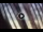 Webcam in Marina di Zambrone, 2.7 mi away