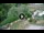 Webcam in Villanders, 2.8 mi away