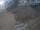 Webcam in Punta Cana, 220.5 km entfernt