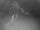 Webcam in Punta Cana, 283.5 mi away