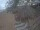Webcam in Punta Cana, 85.1 mi away