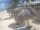 Webcam in Punta Cana, 0.1 mi away