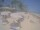 Webcam in Punta Cana, 723.8 km entfernt