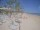 Webcam in Punta Cana, 268.9 km entfernt
