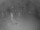 Webcam in Punta Cana, 52.4 mi away