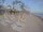 Webcam in Punta Cana, 269 km entfernt