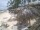 Webcam in Punta Cana, 42.8 mi away