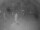 Webcam in Punta Cana, 92.3 mi away