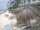 Webcam in Punta Cana, 244.5 km