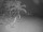 Webcam in Punta Cana, 239 km entfernt