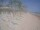 Webcam in Punta Cana, 92.7 mi away
