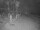 Webcam in Punta Cana, 239 km entfernt