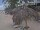 Webcam in Punta Cana, 339.1 km