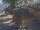Webcam in Punta Cana, 0.2 km