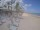 Webcam in Punta Cana, 52.4 mi away