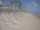 Webcam in Punta Cana, 239 km entfernt