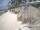 Webcam in Punta Cana, 0 km