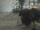 Webcam in Punta Cana, 240.5 km entfernt