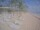 Webcam in Punta Cana, 707.5 km