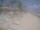 Webcam in Punta Cana, 239 km entfernt