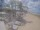 Webcam in Punta Cana, 727.4 km entfernt
