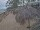Webcam in Punta Cana, 239 km entfernt