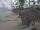 Webcam in Punta Cana, 92.8 mi away
