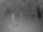 Webcam in Punta Cana, 0.1 mi away