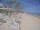 Webcam in Punta Cana, 521.5 km entfernt