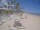 Webcam in Punta Cana, 239.9 km entfernt