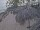 Webcam in Punta Cana, 2.9 mi away