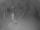 Webcam in Punta Cana, 284.3 mi away