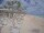 Webcam in Punta Cana, 93.1 mi away