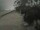 Webcam in Punta Cana, 94.3 mi away
