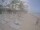 Webcam in Punta Cana, 736.2 km entfernt