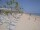 Webcam in Punta Cana, 56.7 km entfernt