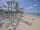 Webcam in Punta Cana, 240.3 km entfernt