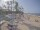 Webcam in Punta Cana, 705.7 km entfernt