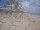 Webcam in Punta Cana, 220.5 km