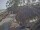 Webcam in Punta Cana, 155.5 km entfernt