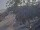 Webcam in Punta Cana, 155.5 km