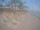 Webcam in Punta Cana, 56.6 km