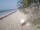 Webcam in Punta Cana, 240.3 km
