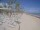 Webcam in Punta Cana, 239 km entfernt
