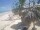 Webcam in Punta Cana, 416.3 km entfernt