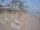 Webcam in Punta Cana, 704.5 km