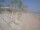 Webcam in Punta Cana, 704.5 km