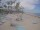 Webcam in Punta Cana, 239.4 km entfernt