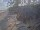 Webcam in Punta Cana, 239.9 km