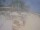 Webcam in Punta Cana, 52.4 mi away